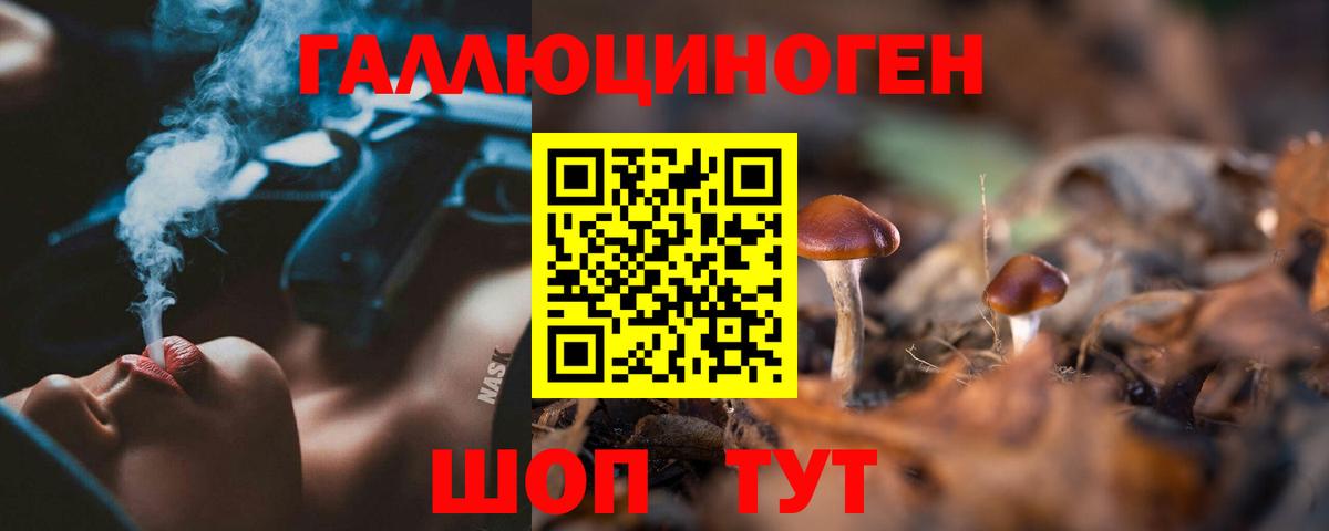 Гудермес  Галлюциногенные грибы ЛСД  Псилоцибиновые грибы мицелий  Вход с VPN 